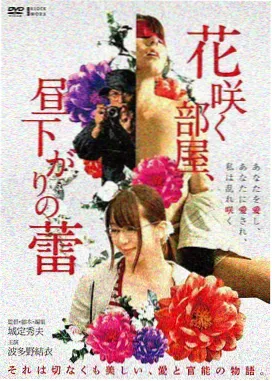 经典青春电影《旧磁带里的夏天》海报